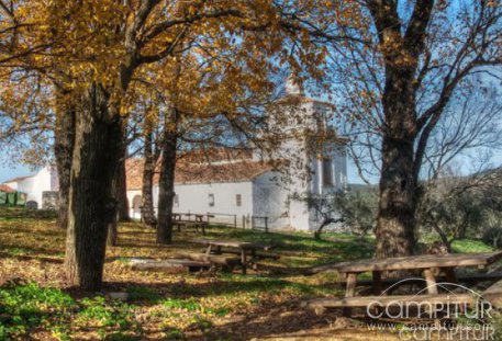 Peregrinación a la Ermita de la Virgen del Ara 