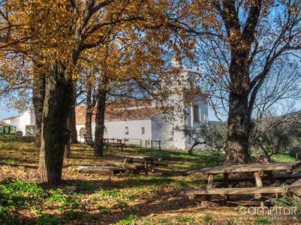 Peregrinación a la Ermita de la Virgen del Ara 