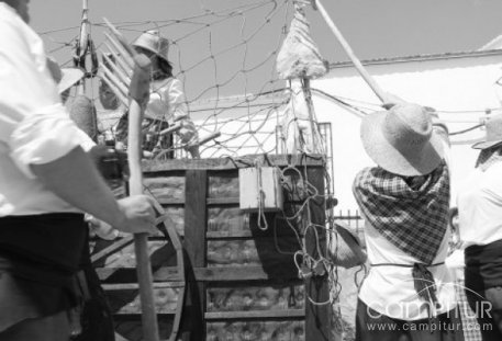 Romería del Rayo 2016 en Fuente del Arco 