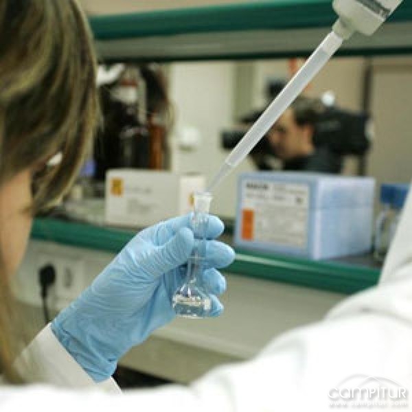 La Junta encarga a los farmacéuticos la elaboración de un jarabe para combatir la gripe A 