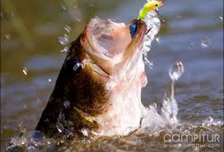 Trabajo de Guarda de Caza y Pesca en Berlanga 