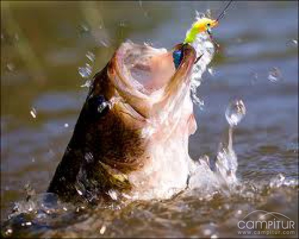 Trabajo de Guarda de Caza y Pesca en Berlanga 
