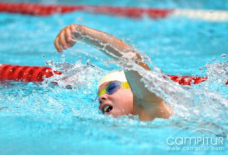 Curso de Natación de Granja de Torrehermosa 2016