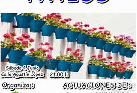 Fiesta de los patios en Villaviciosa de Córdoba