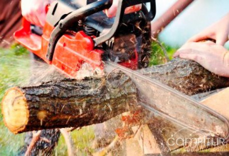 Trabajo de Peones Forestales en Fuente del Arco 
