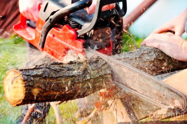 Trabajo de Peones Forestales en Fuente del Arco 