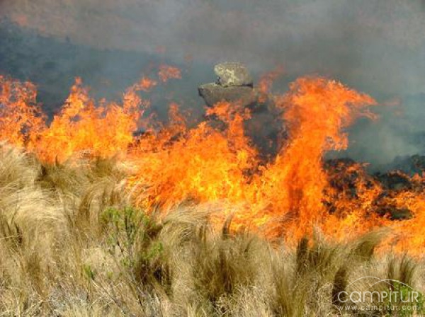 Autorizada la quema de rastrojo hasta diciembre en Extremadura