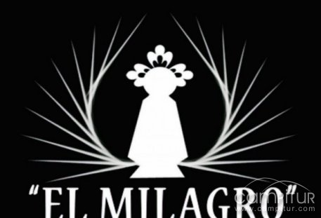 XI Festival de Cortometrajes “El Milagro” 