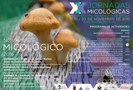 XX Jornadas Micológicas Parque Natural Sierra Norte de Sevilla, Constantina 