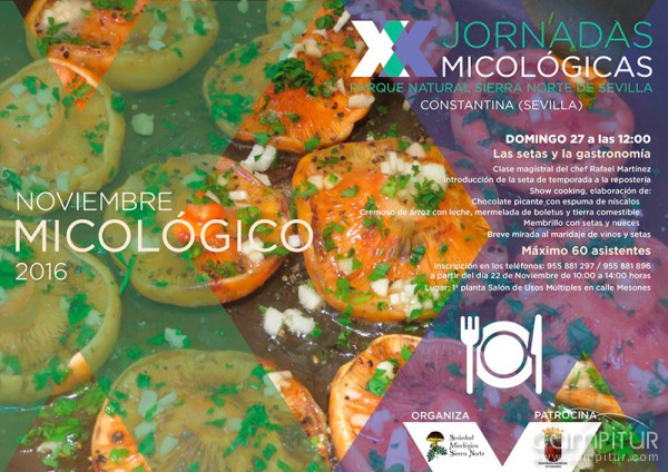 Las Setas y la Gastronomía, en Constantina 