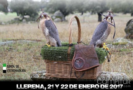 III Campeonato de Extremadura de Altanería