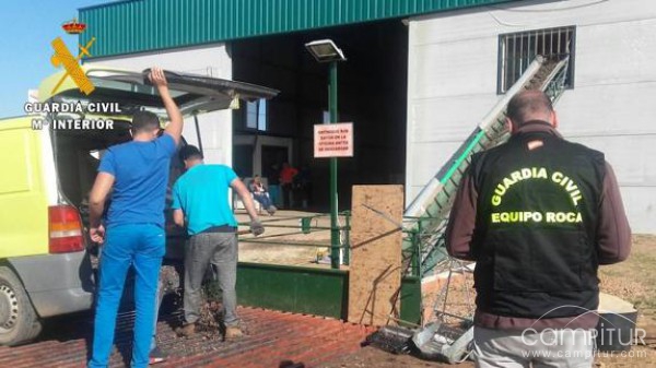 Detenido por aceptar 81.000 kilos de aceitunas de procedencia ilegal