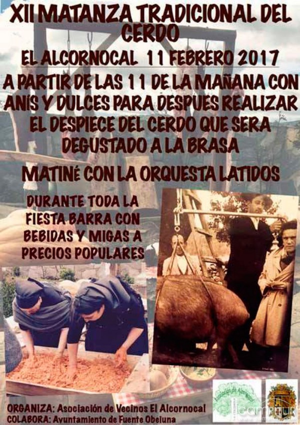 XII Matanza Tradicional del Cerdo en El Alcornocal 