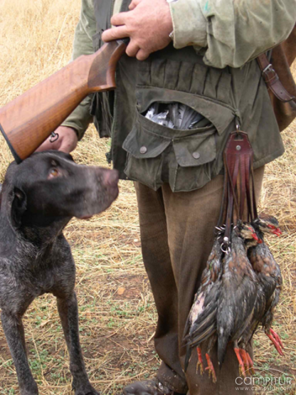 Licencia única de caza para Extremadura 