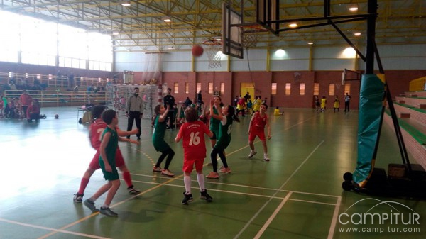 Resultados fin de semana C.B. Campiña Sur de Llerena