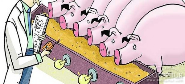 El biogás, una de las mejores opciones para reutilizar los purines 