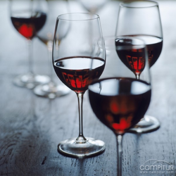 Cursos de Cata de Vinos y de Protocolo en Llerena 