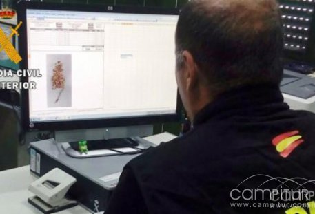 Detenida una vecina de Berlanga por robar joyas y dinero en Azuaga 