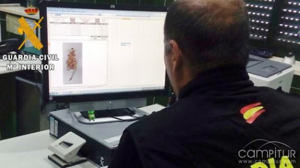 Detenida una vecina de Berlanga por robar joyas y dinero en Azuaga 