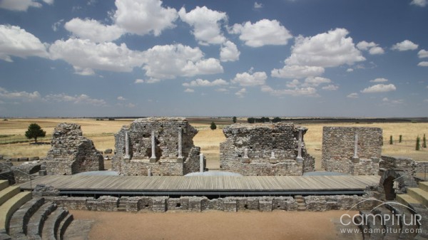 Regina Turdulorum huérfana 