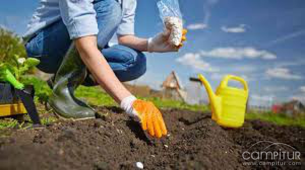 Curso Formativo para la instalación de jardines parques y zonas verdes