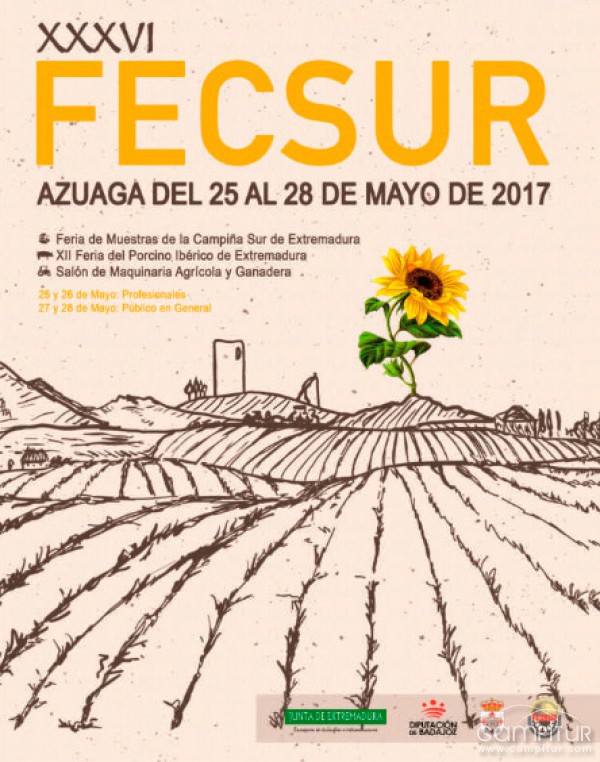 Programación Fecsur 2017  