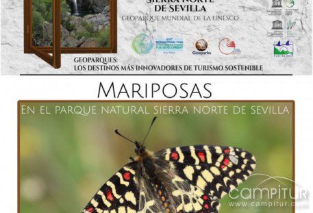 Ponencia sobre mariposas en Guadalcanal 