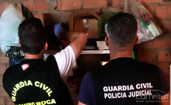 Dos vecinos de Puebla del Maestre detenidos por amenazas e incendio forestal 