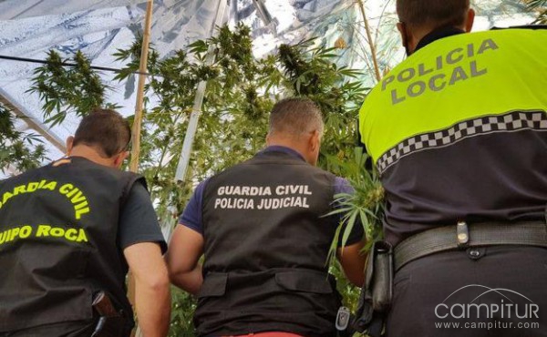 Detenidos dos vecinos de Llerena acusados por un delito contra la salud pública 
