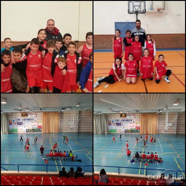 C.B. Campiña Sur de Llerena: Resultados de la Base y primera concentración minibásket para nuestros equipos alevines