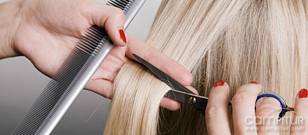 Curso de Peluquería en Usagre 