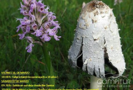 VI Jornadas de Orquídeas Fuente del Arco 