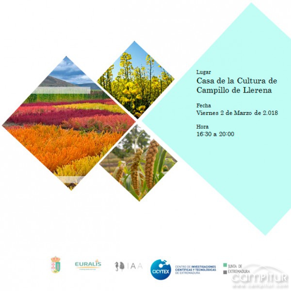 Alternativa al cultivo del cereal en Campillo de Llerena 