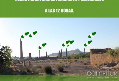 Los escolares de Peñarroya-Pueblo nuevo celebran el Día de Andalucía 