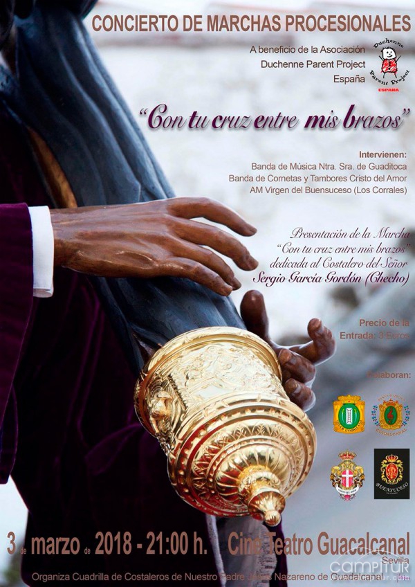 Concierto benéfico de Marchas Profesionales en Guadalcanal 