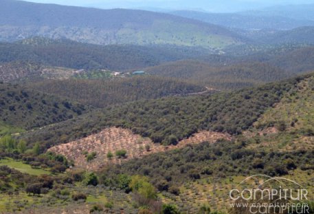 Abierto el plazo de inscripción para la XVIII Ruta del Rey Jayón 