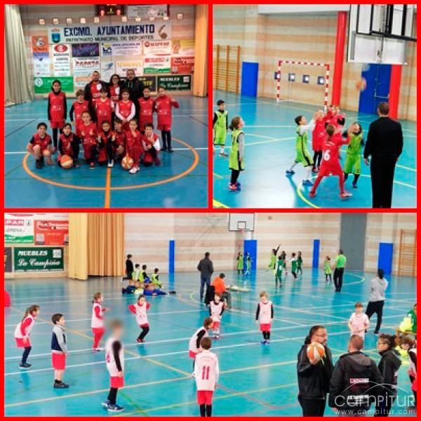 Celebrada con éxito la última concentración Minibasket  