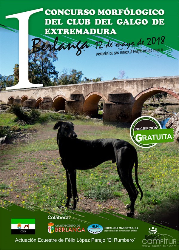 I Concurso Morfológico del Club del Galgo de Extremadura