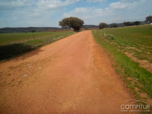 Trabajos de mantenimiento y mejoras en los caminos de Peraleda del Zaucejo 