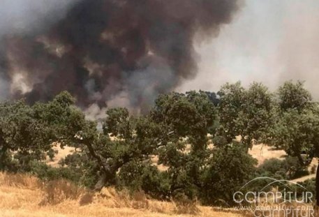 Controlado el incendio iniciado en Granja de Torrehermosa 