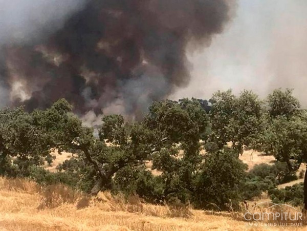 Controlado el incendio iniciado en Granja de Torrehermosa 