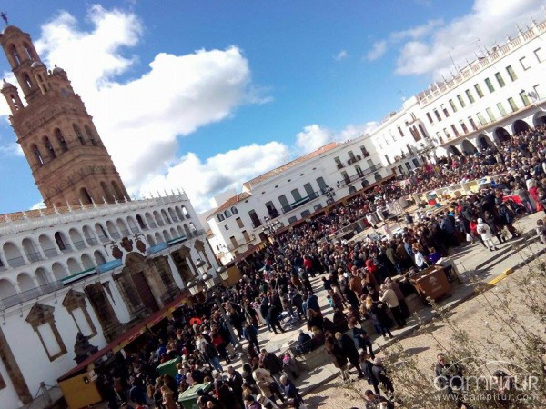 La Matanza de Llerena, Fiesta de Interés Turístico Regional 