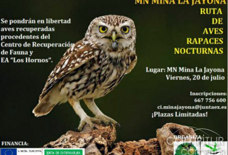 Ruta y Suelta de Aves Rapaces en M.N. La Jayona 