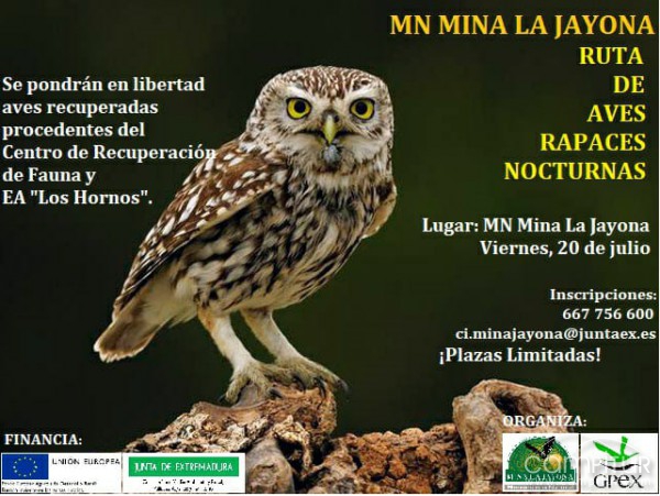 Ruta y Suelta de Aves Rapaces en M.N. La Jayona 