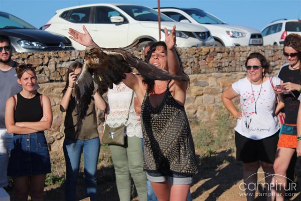 Aves recuperadas vuelan por los cielos de Reina 