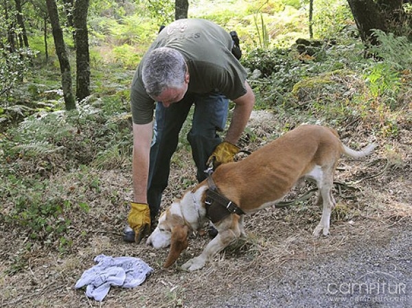 Localizado un vecino de Casas de Reina tras permanecer desaparecido unas 24 horas 