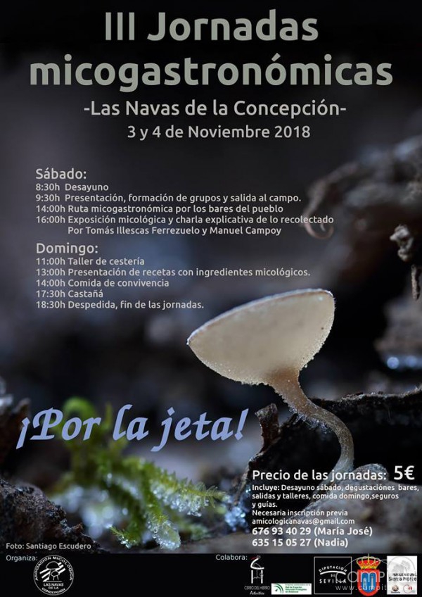 III Jornadas Micogastronómicas en Las Navas de La Concepción 