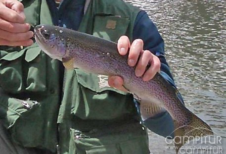 Publicados los tramos de pesca del régimen especial para el 2010