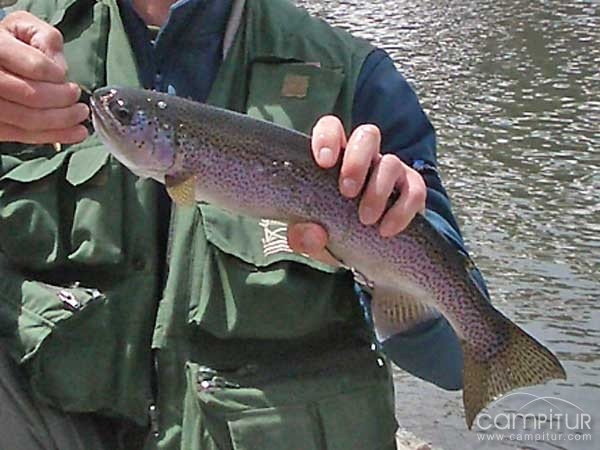 Publicados los tramos de pesca del régimen especial para el 2010