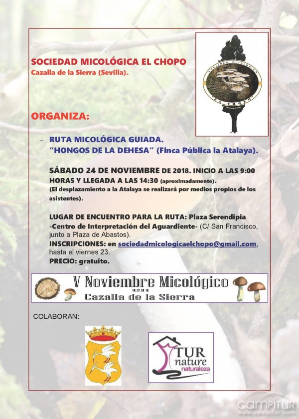 Ruta Micológica guiada “Hongos de la Dehesa” 